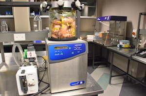 Freeze drying samples is a low temperature dehydration process which involves freezing the product, then reducing pressure and adding heat to remove the ice by sublimation.